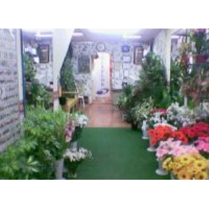 Nurgül Uluslararası Çiçekçilik firma resmi