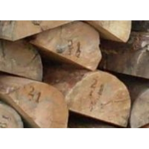 Sıla Orman Ürünleri Fidancılık firma resmi