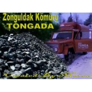 Neşeli Tonga Zahire Nakliye Kömür firma resmi